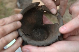 Studia I stopnia (licencjackie)